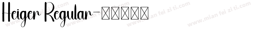 Heiger Regular字体转换